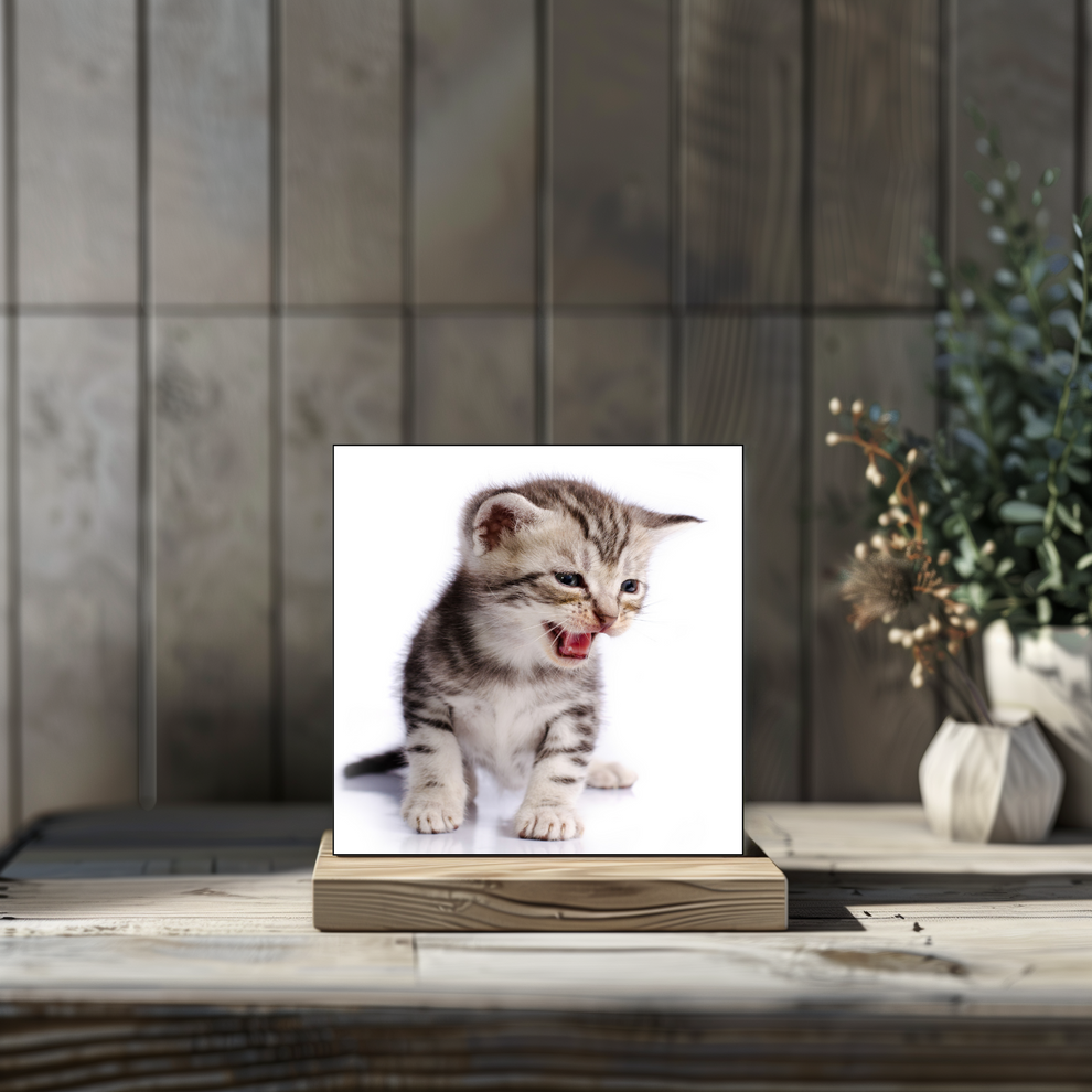 Custom Photo Tiles – Style On Tile