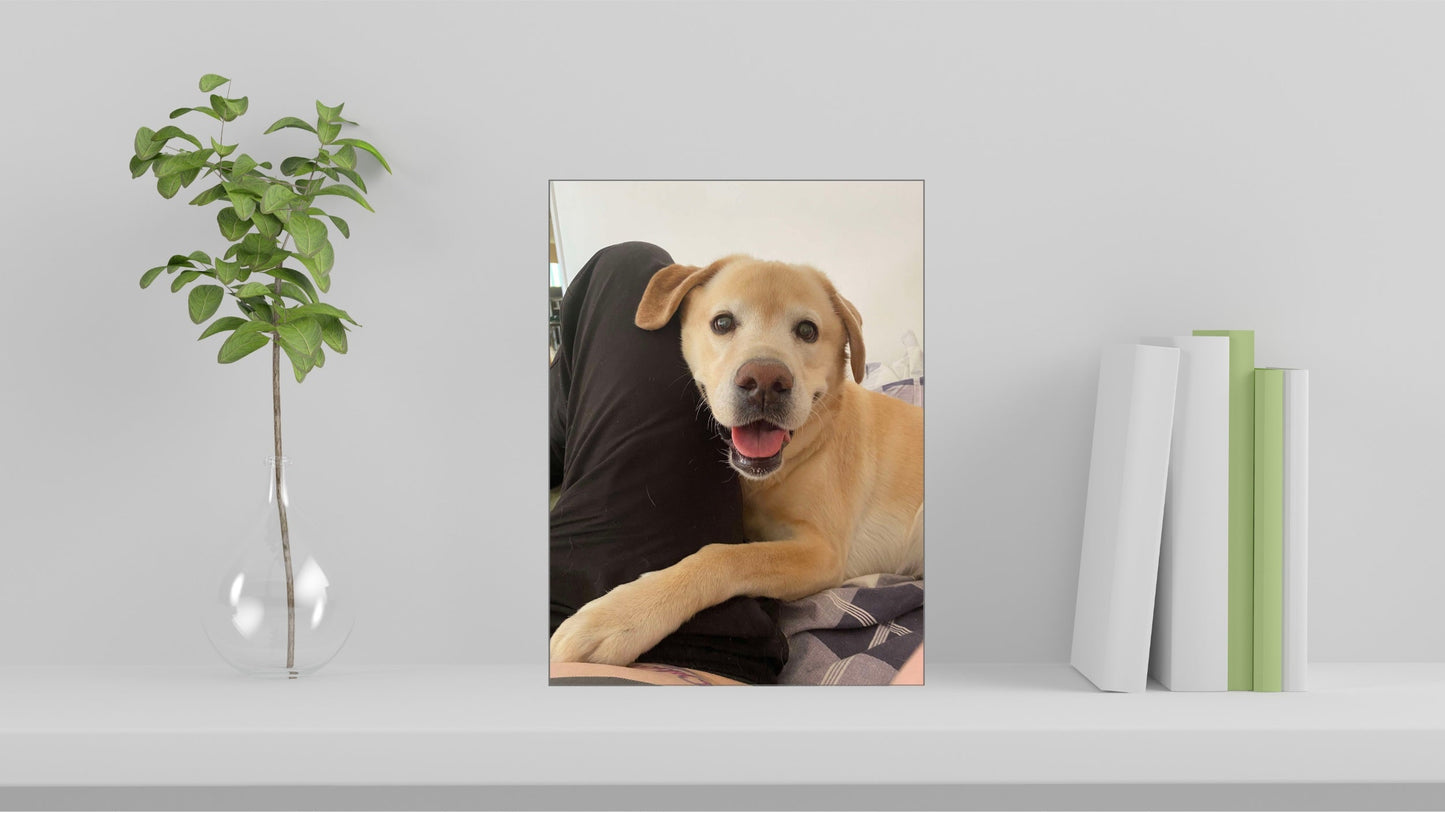 Custom ceramic tile with dog photo on living room shelf, front on view, portrait