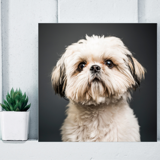 Custom ceramic tile with dog photo on display shelf, front-on view
